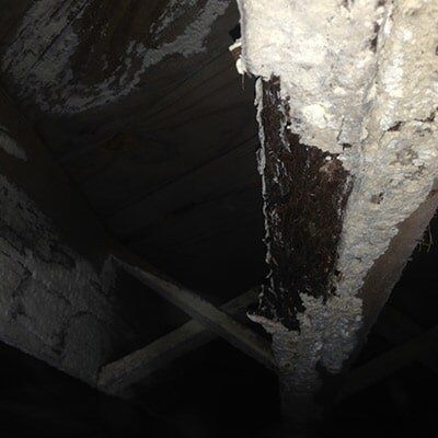 Mold — Home Services Foundation Repair in Fordyce, AR