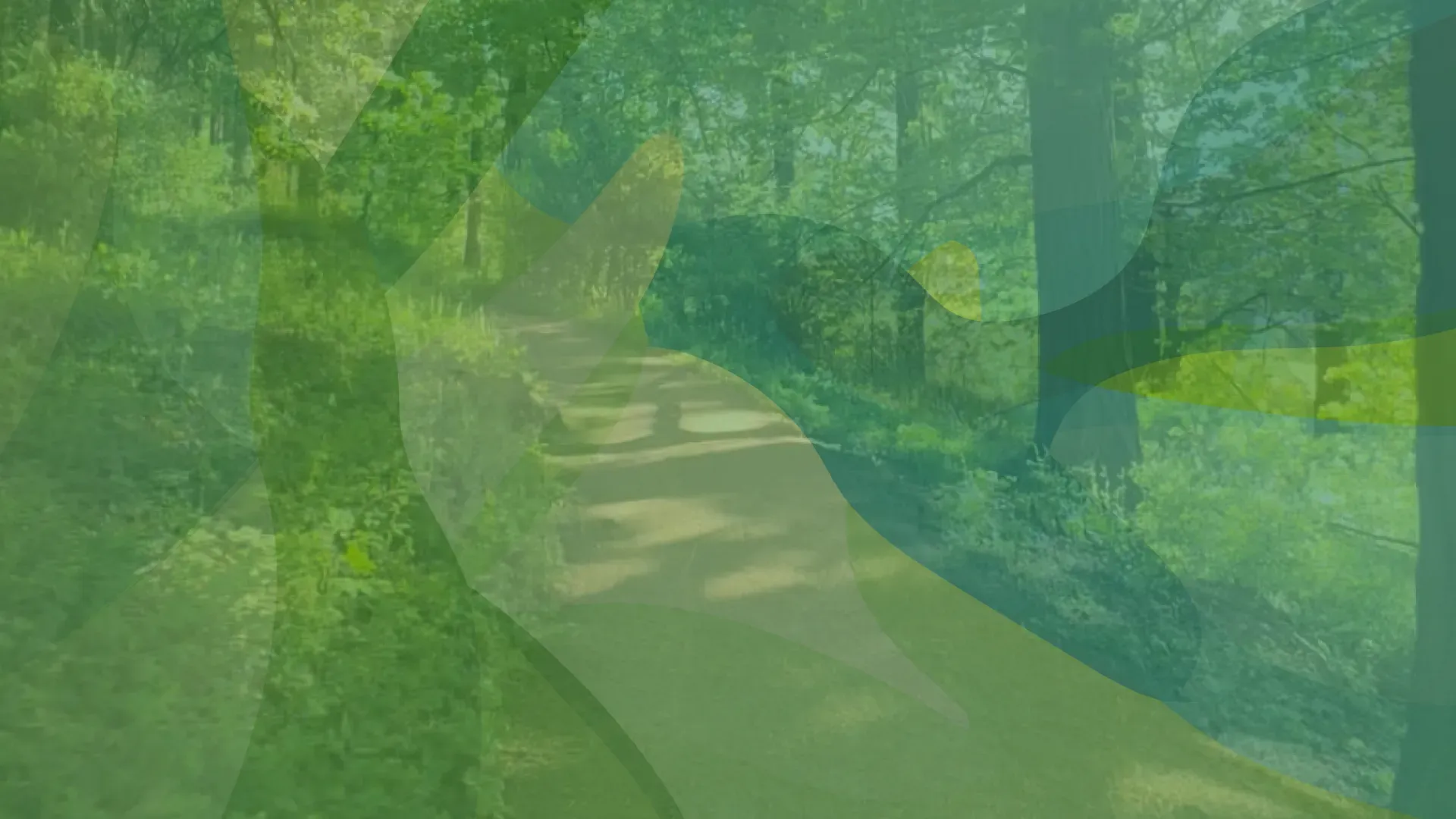 Green Path Image