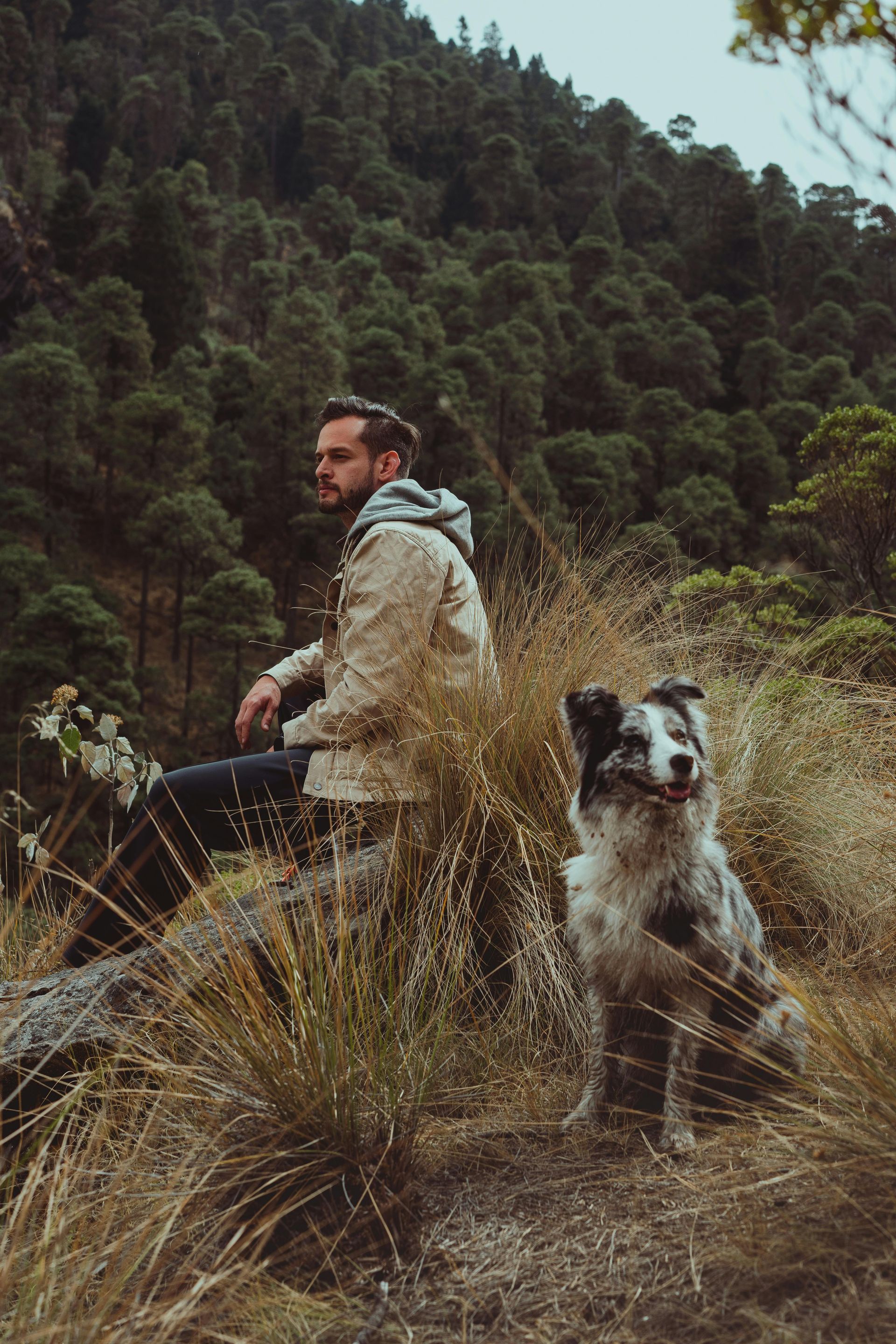 A man with a backpack is standing next to a lake in the woods.