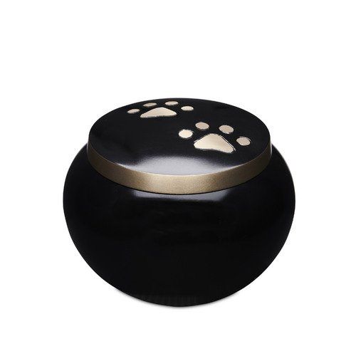 Black with Gold Paws Urn — Little Treasures Pet Cremation in Bells Park, QLD