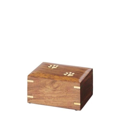 Brass Paw Box — Little Treasures Pet Cremation in Bells Park, QLD