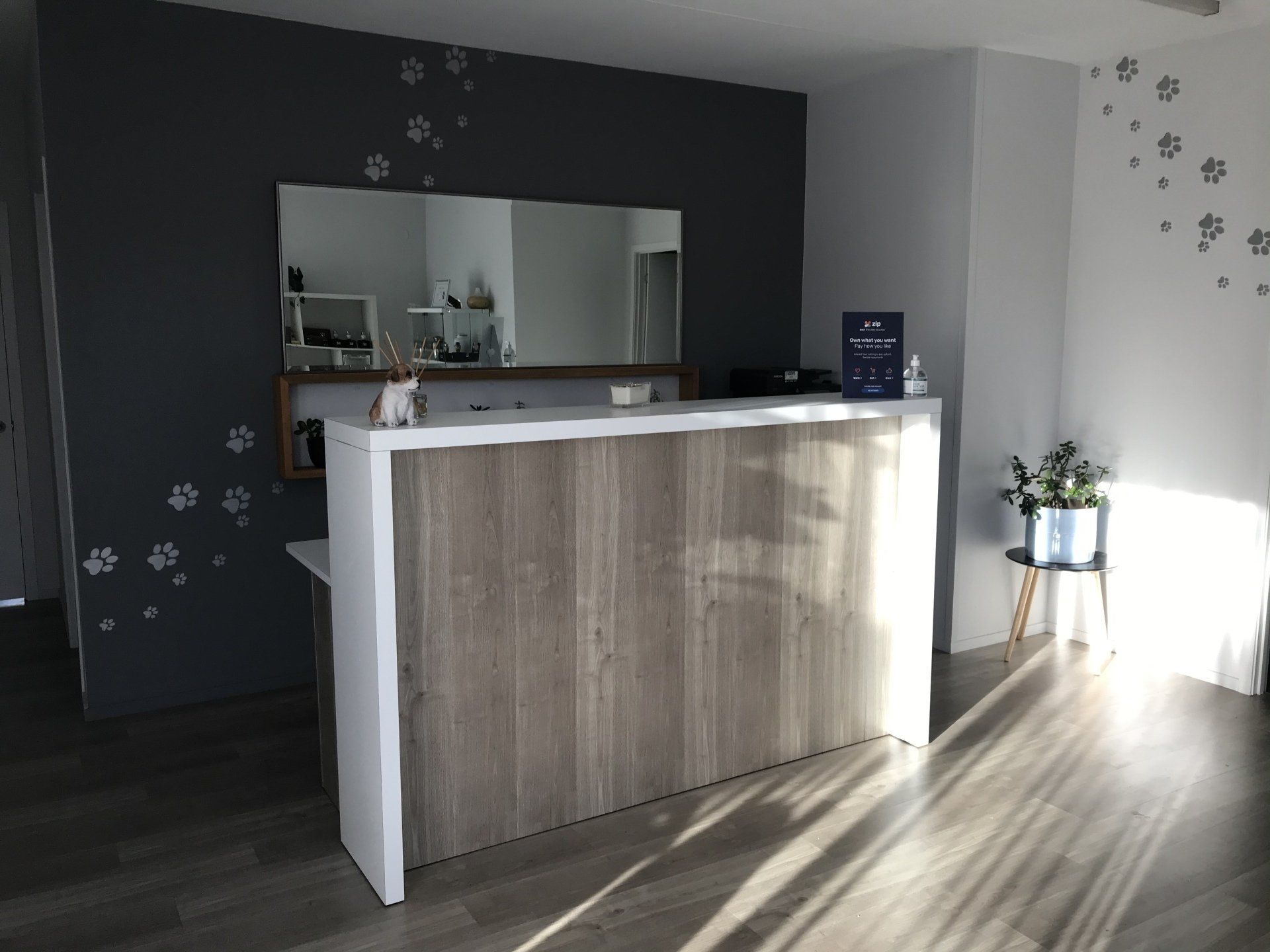kitchen counter with pet paw decals on walls