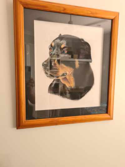 Di Pastel Painting 4 — Little Treasures Pet Cremation in Bells Park, QLD