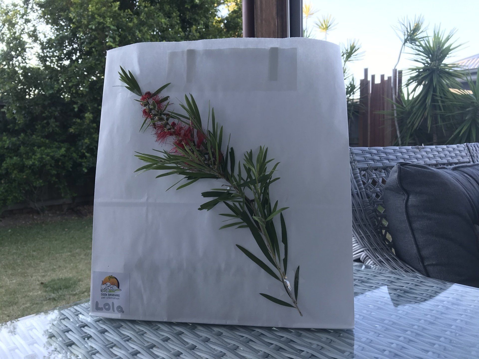 envelope with foliage taped on