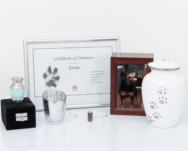 Pet Cremation Packages Little Treasures Pet Cremation Sunshine Coast