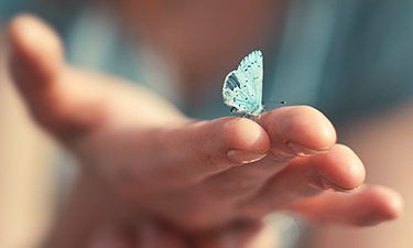 Hand out holding blue butterfly - Individual Pet Cremations Sunshine Coast
