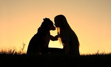 Owner & Pet Silhouette - Pet Cremation in Bells Creek Caloundra, QLD