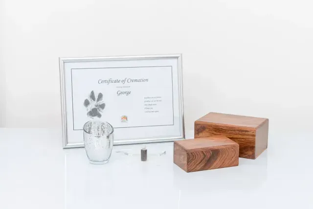 pet cremation and memorial package