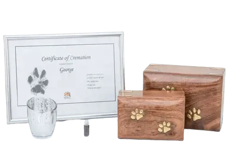 pet cremation and memorial package