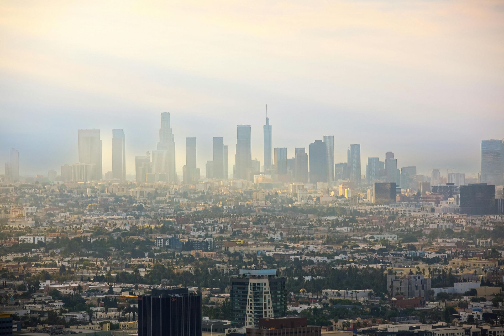 City skyline shrouded in haze; buildings silhouetted against a pale sky.