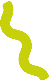 Groene, golvende, verticale vorm.