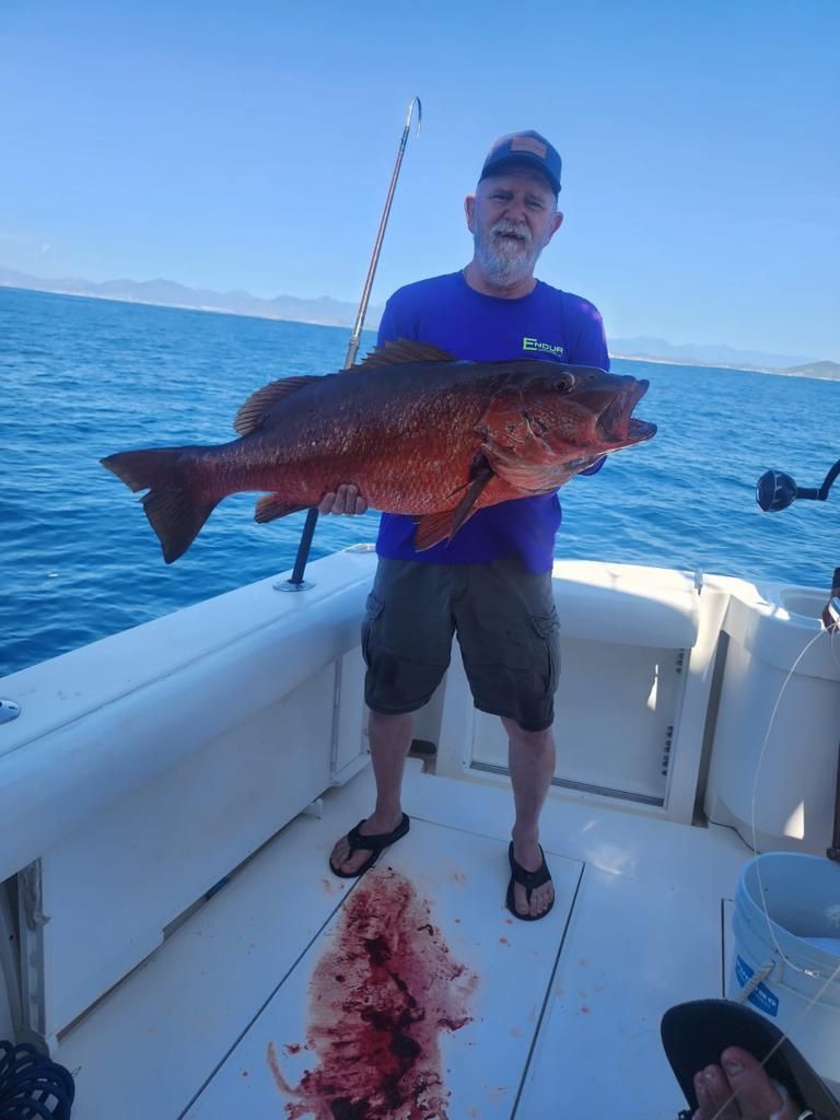 a man is standing on a boat holding a large fish .