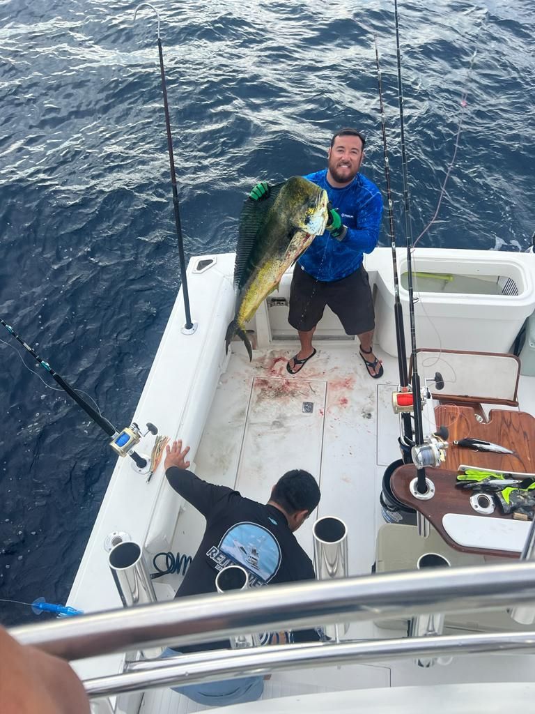 a man is holding a large fish on the deck of a boat .