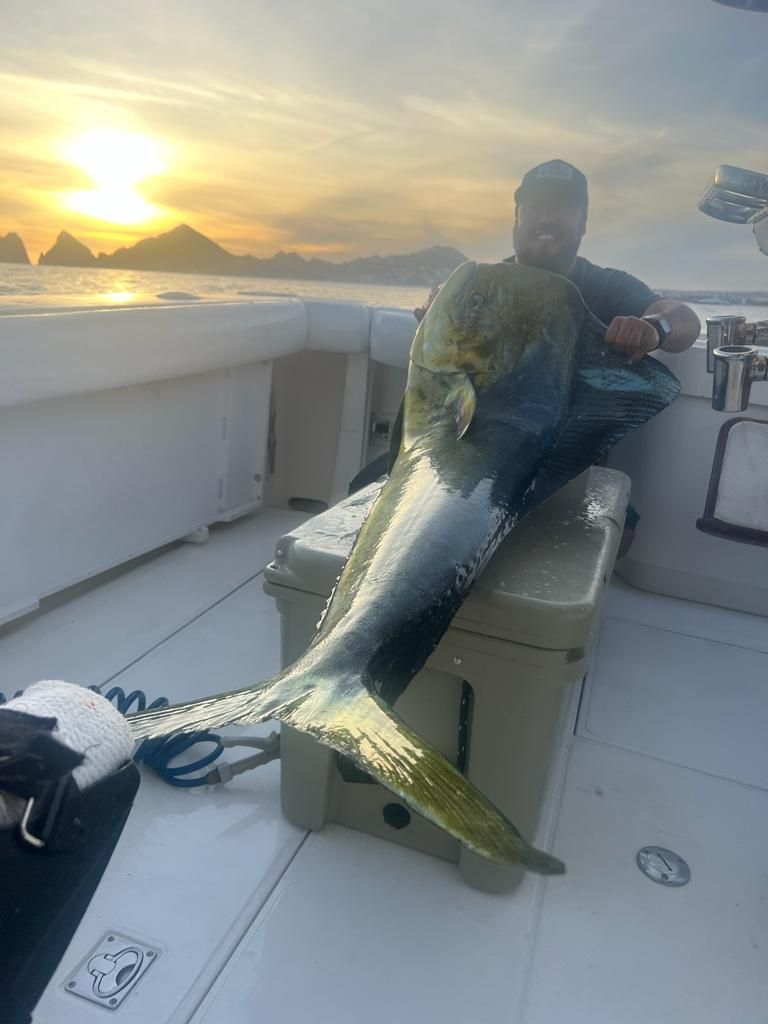 a man is sitting on a boat holding a large fish .