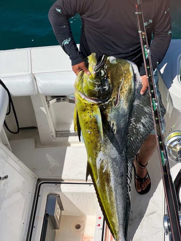 a man is holding a large fish on a boat .