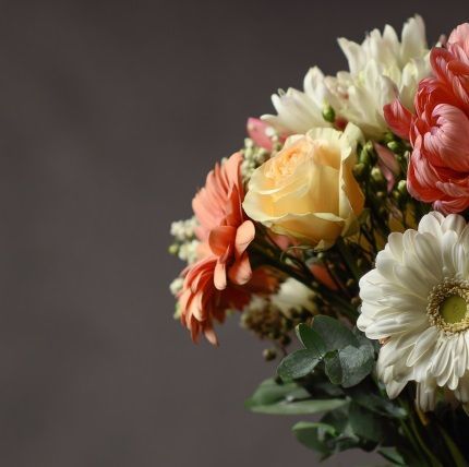 cremation services North Port, FL