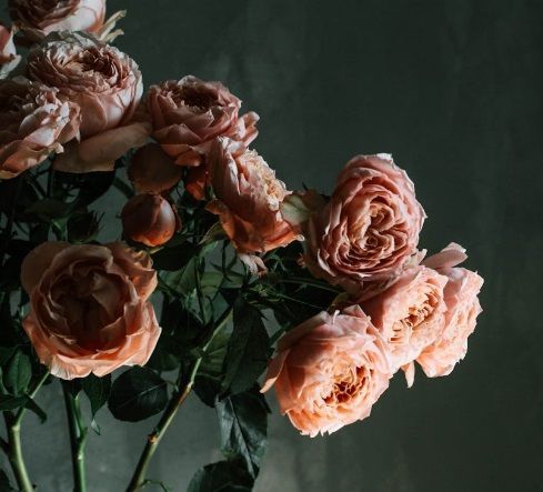 Peach roses arranged in a bouquet, creating a soft and elegant memorial display in Punta Gorda, FL.
