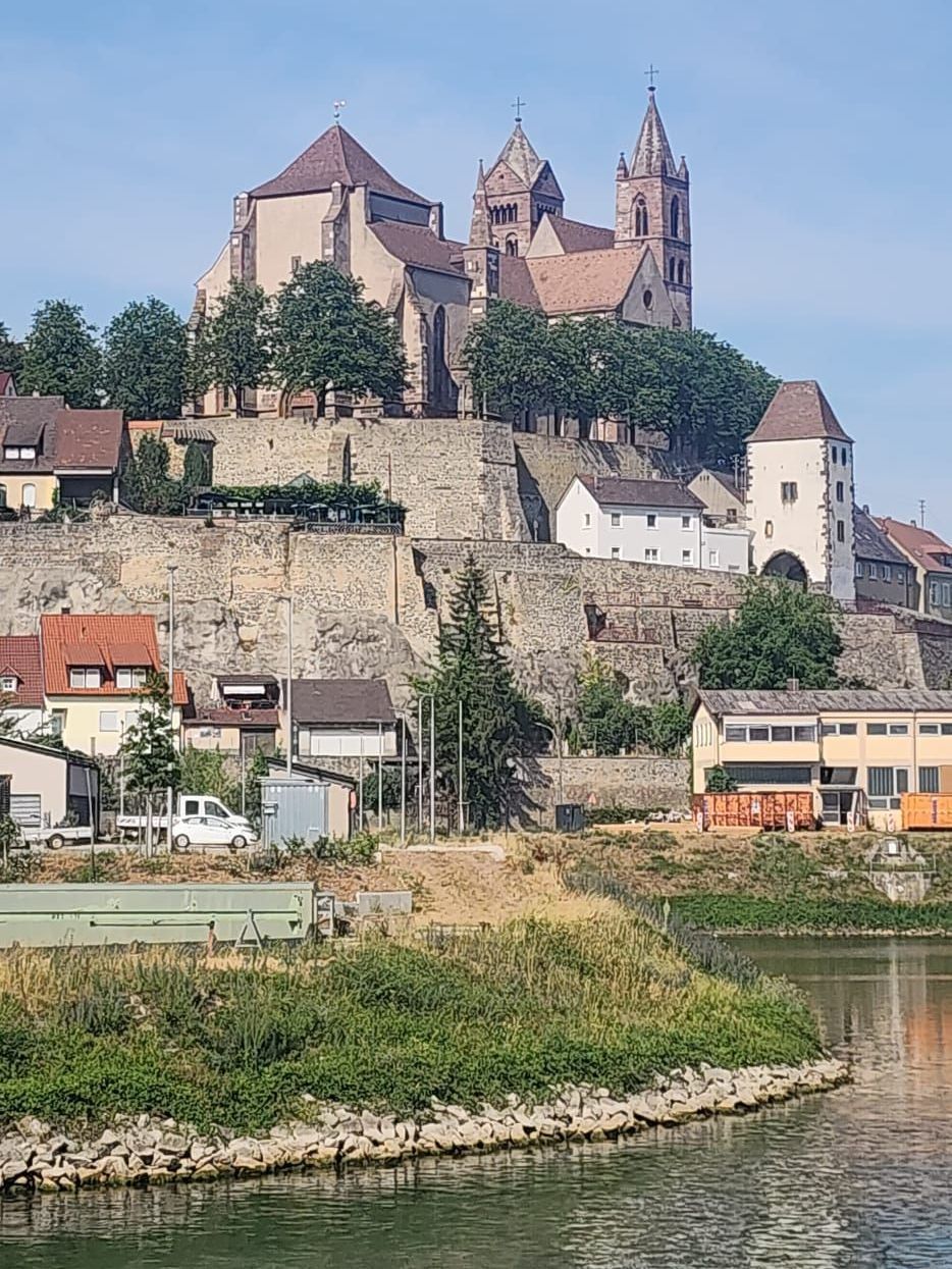 Rockstar Photo from Rhine River Cruise