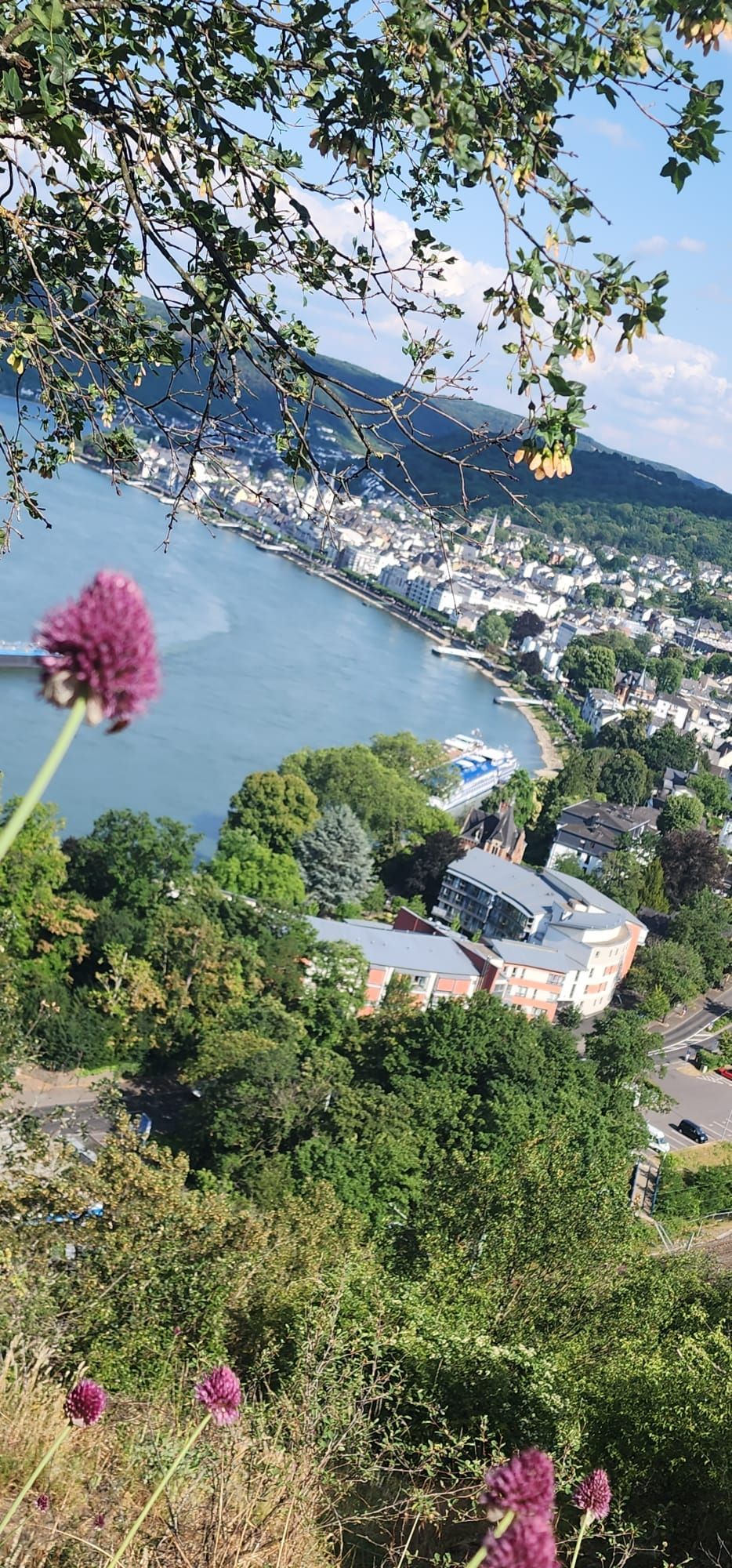 Rockstar Photo from Rhine River Cruise