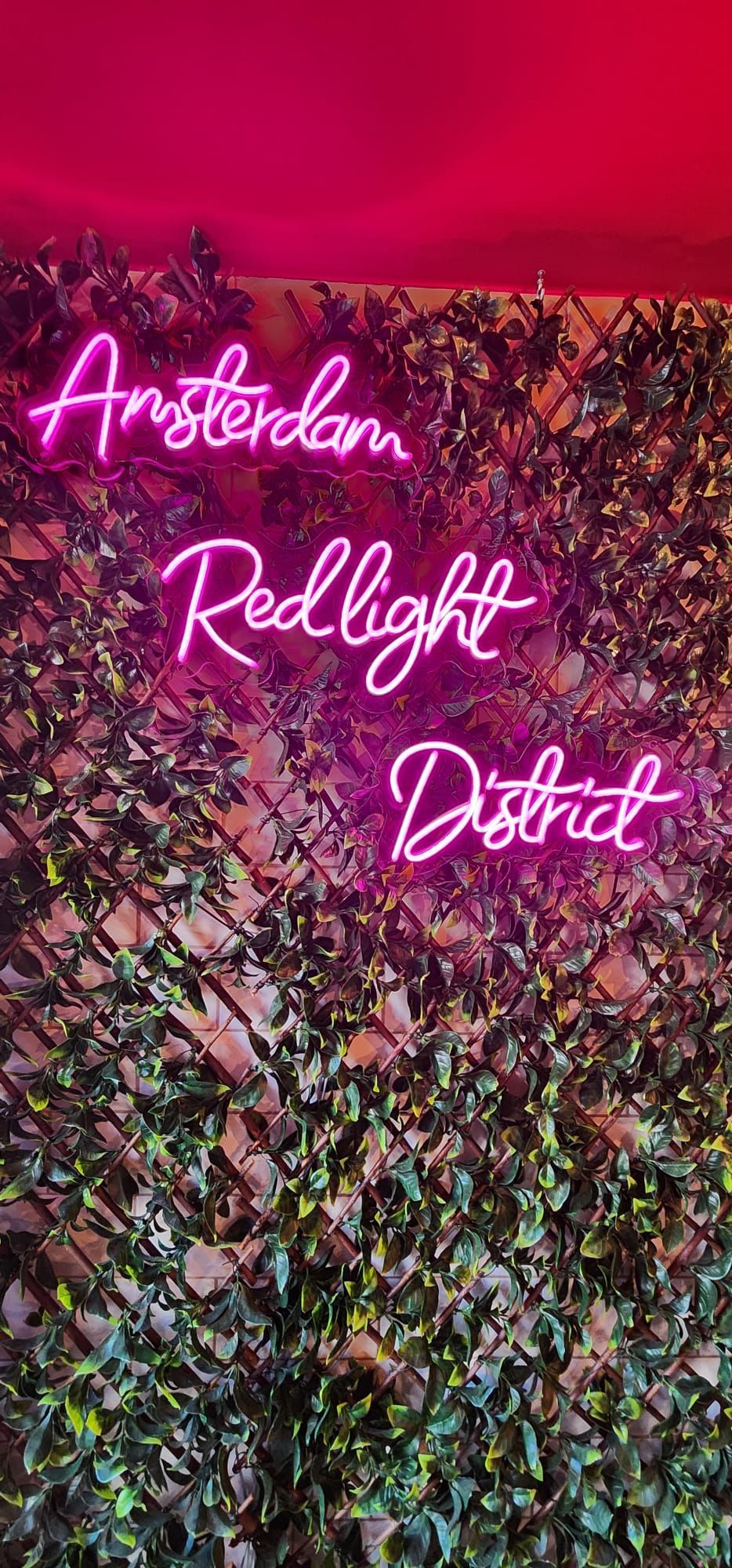 Rockstar Photo from Rhine River Cruise