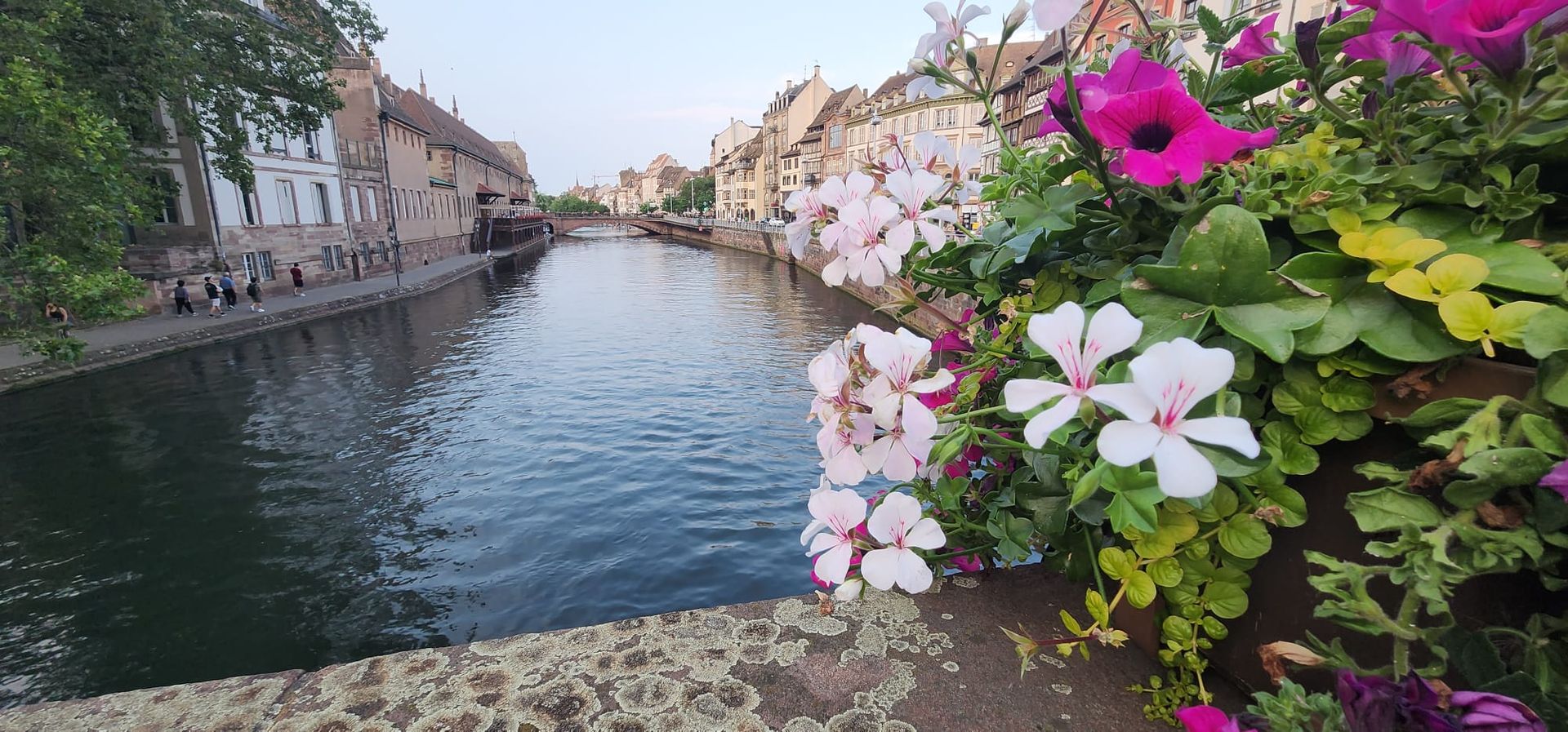 Rockstar Photo from Rhine River Cruise