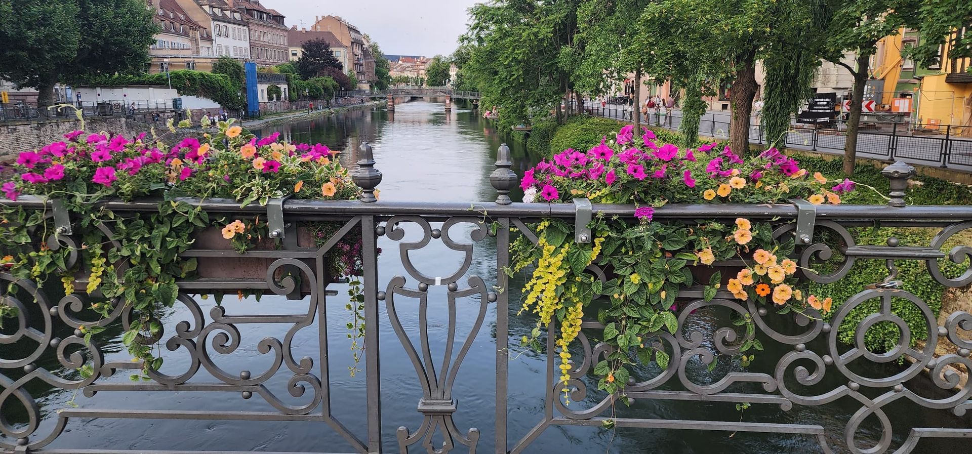 Rockstar Photo from Rhine River Cruise