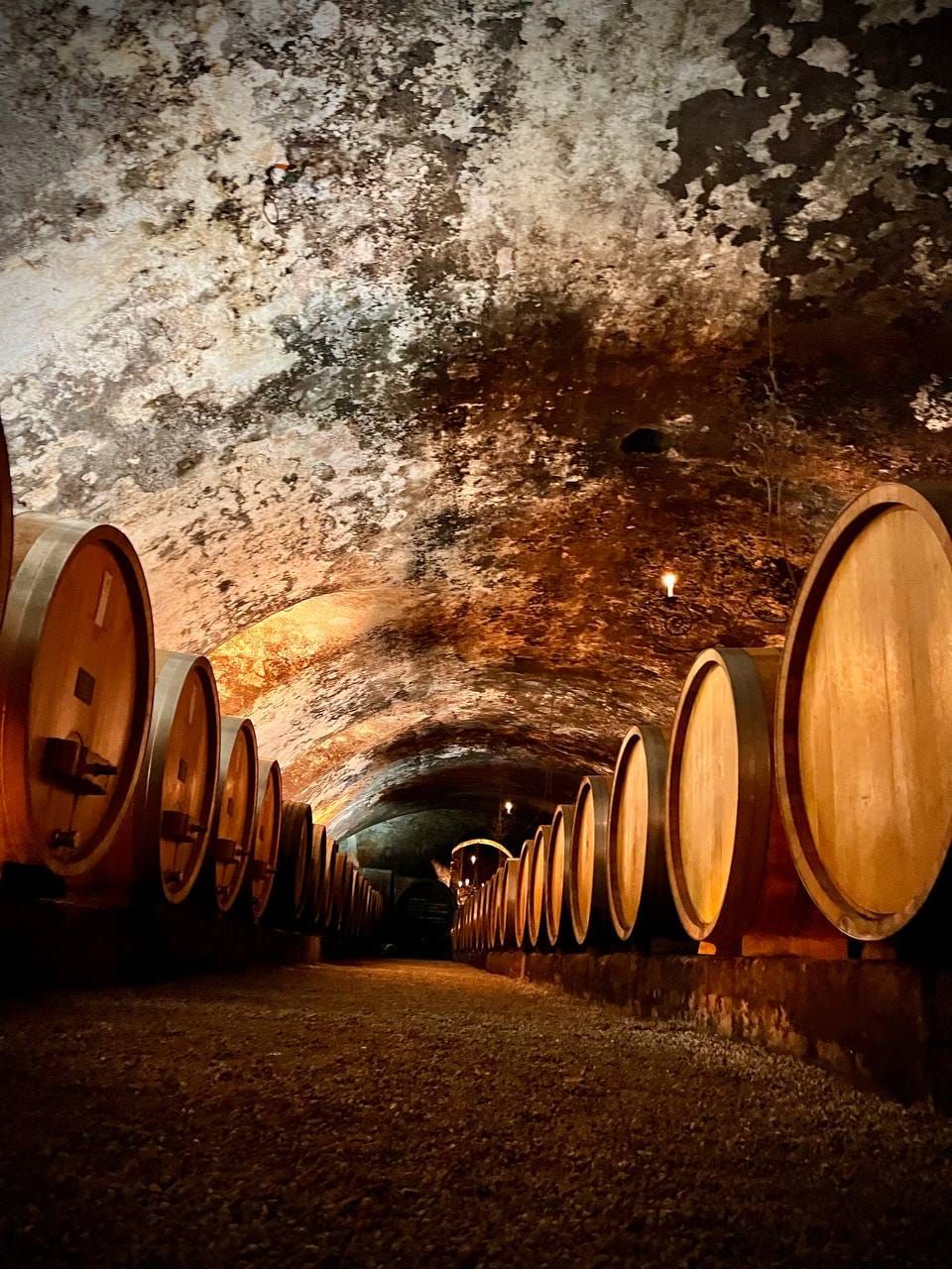 Rockstar Photo from Rhine River Cruise