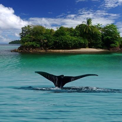 Rockstar Photo from Costa Rica