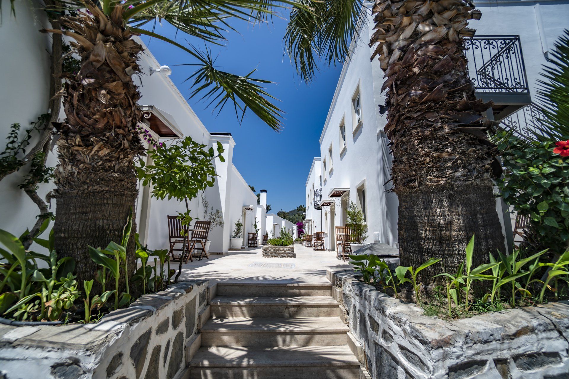 A narrow alleyway between two white buildings with palm trees.