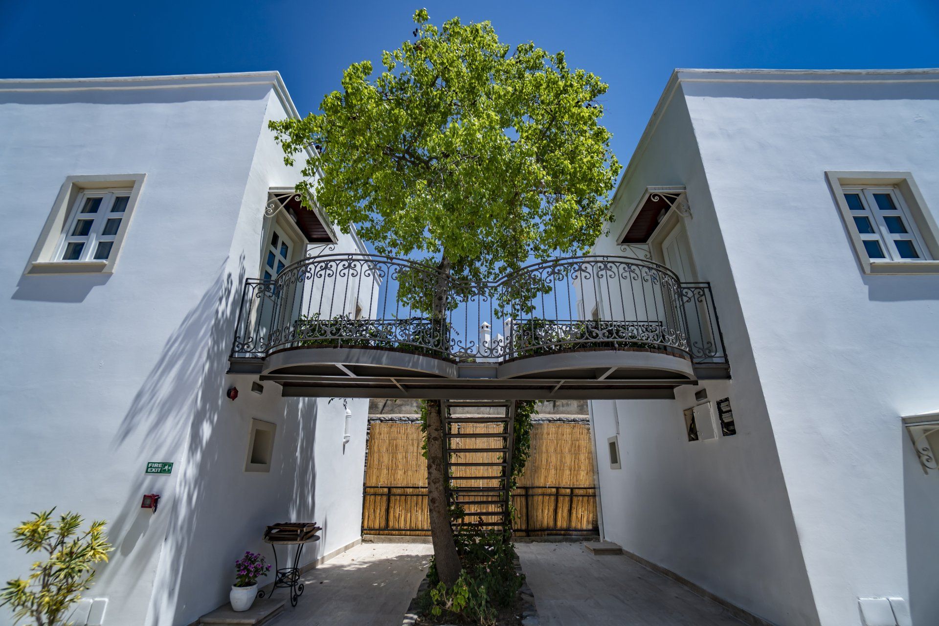 A white building with a tree in the middle of it