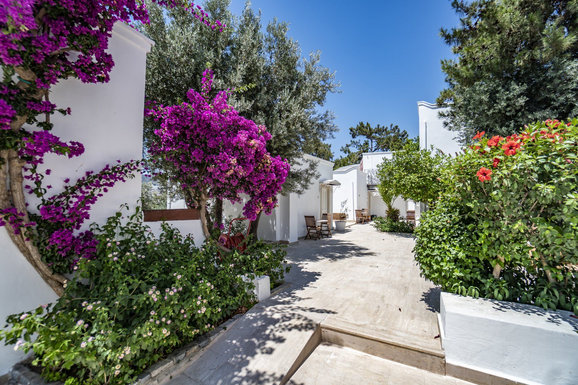 A white building with purple flowers in front of it