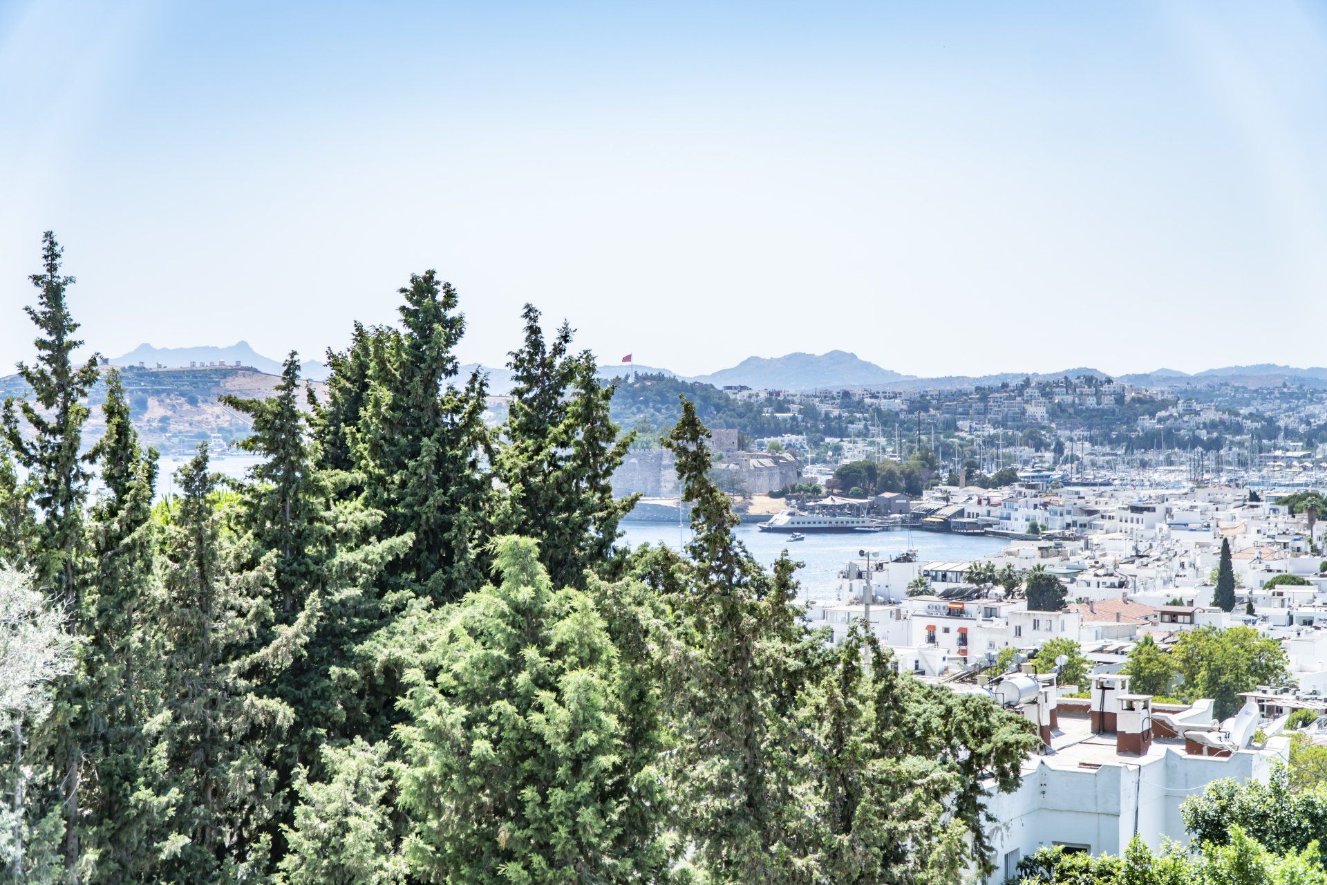 A view of a city from a hill with trees in the foreground.