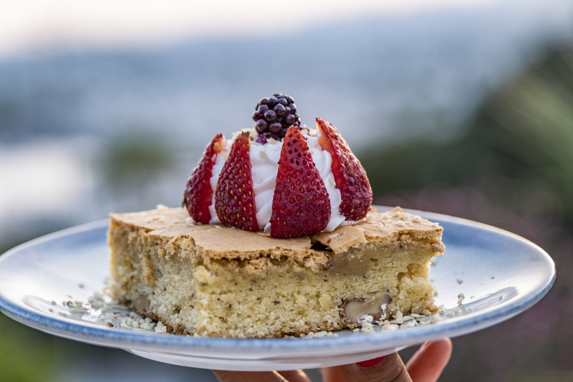 A person is holding a plate of cake with strawberries on top.