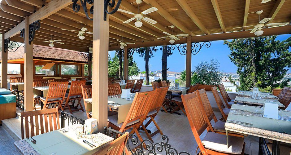 A restaurant with tables and chairs under a canopy