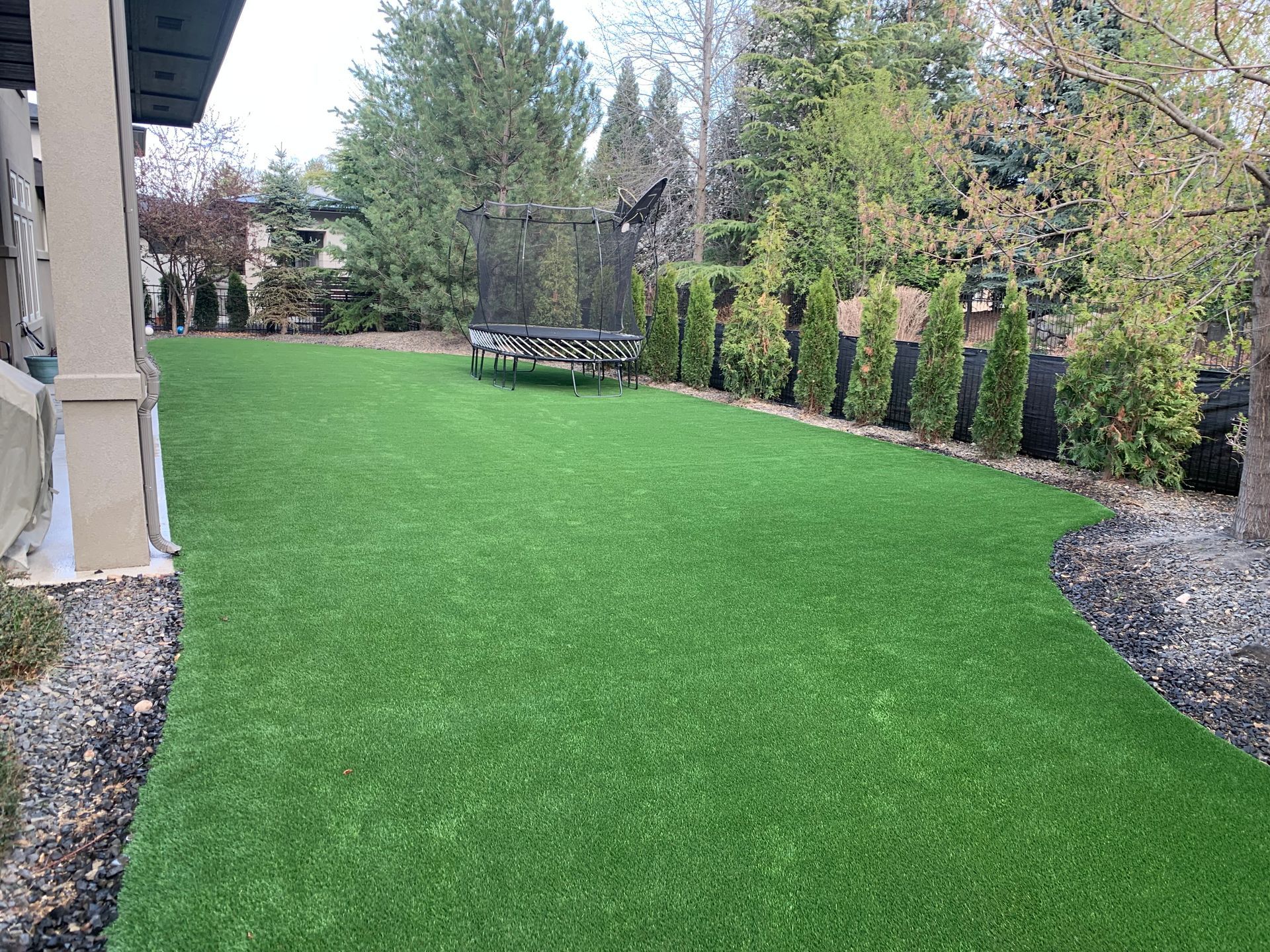 Green artificial lawn in a backyard, trees, a trampoline, and a house are visible.