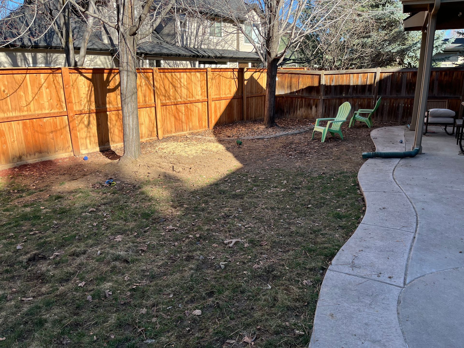 Backyard with brown fence, two green chairs, two trees, and a concrete patio.