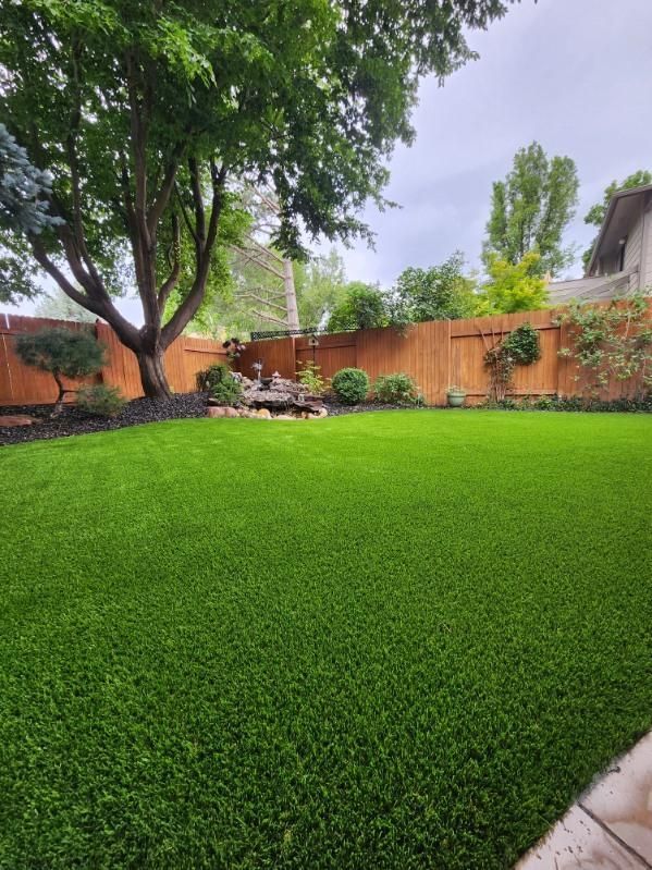 Green lawn in backyard, framed by brown fence and trees. Cloudy sky.