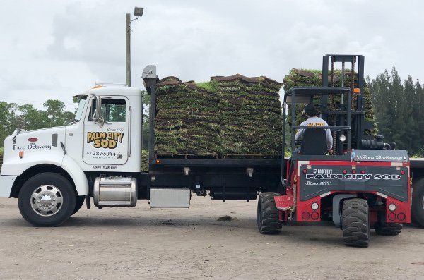 Forklift Unloading Sod — Palm City Sod in Palm City, FL