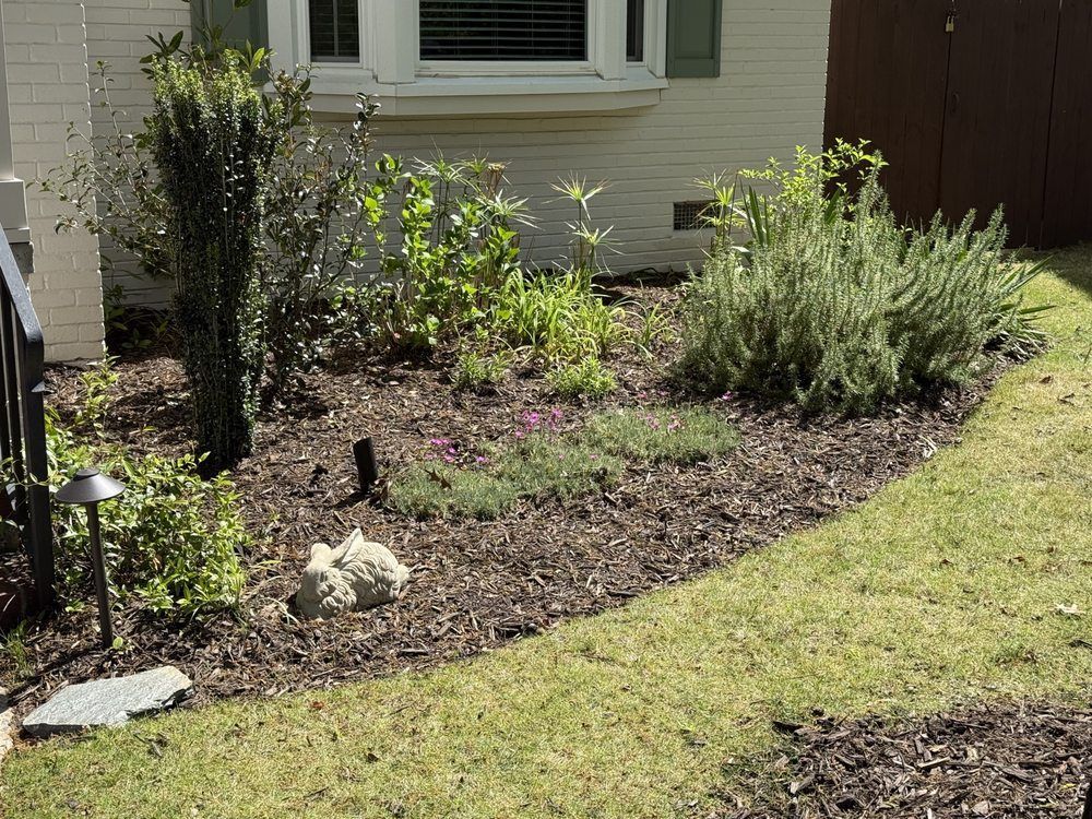 Garden bed with various plants, brown mulch, and green grass border near a house.