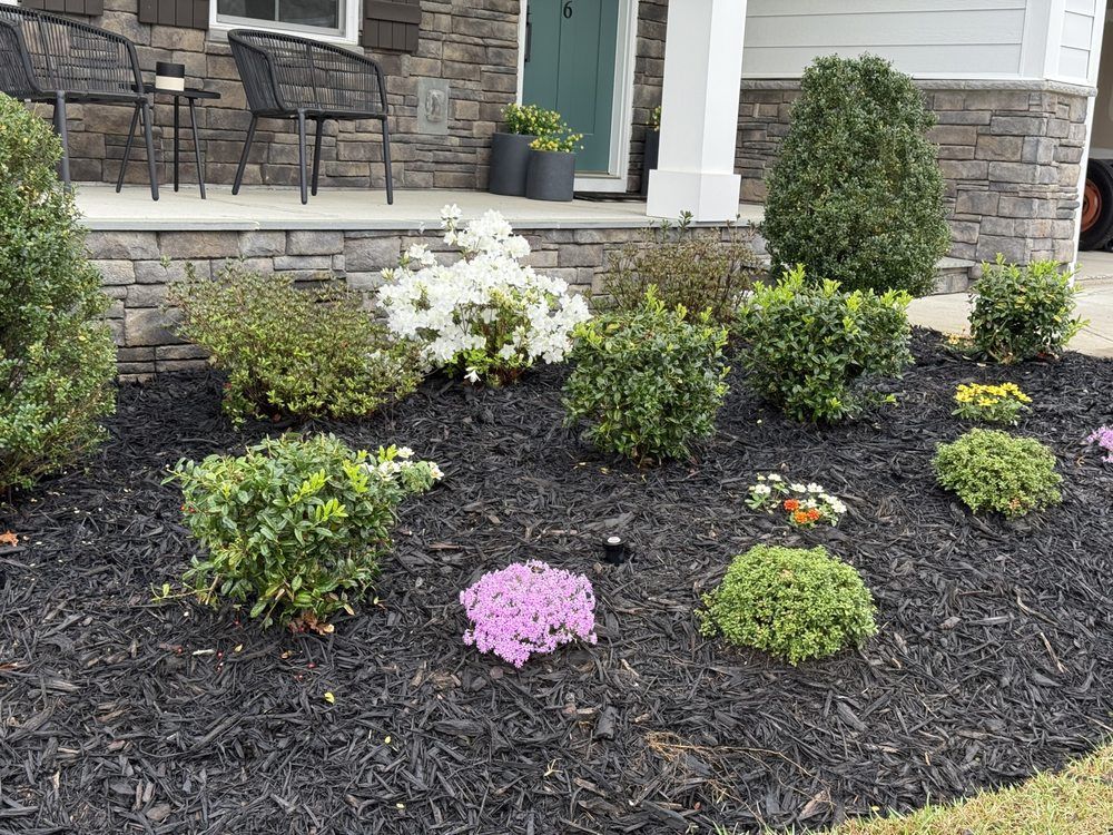 Flower bed with black mulch, various green shrubs, and a few flowering plants in front of a house.