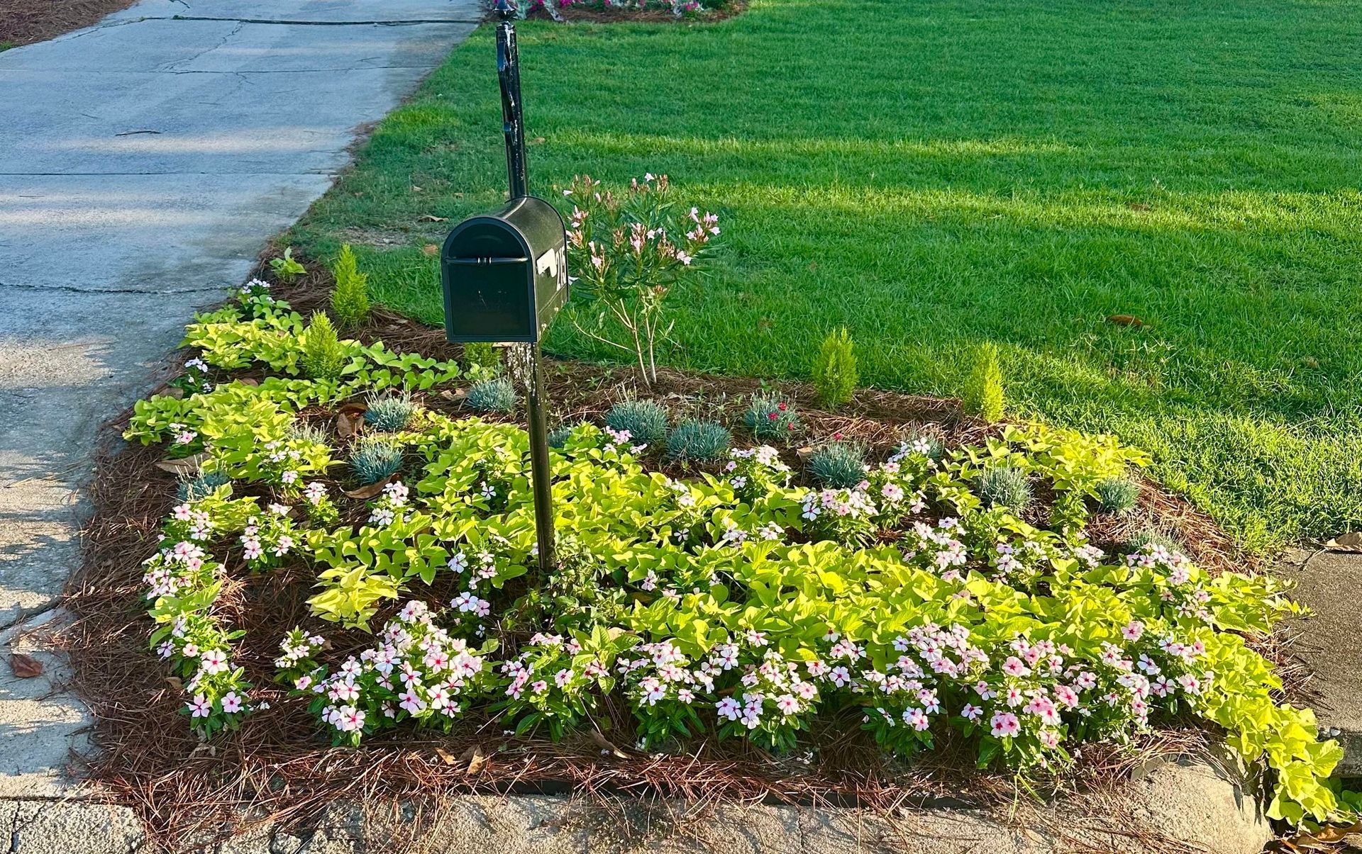 Green mailbox in a flowerbed with various flowering plants and a green lawn.