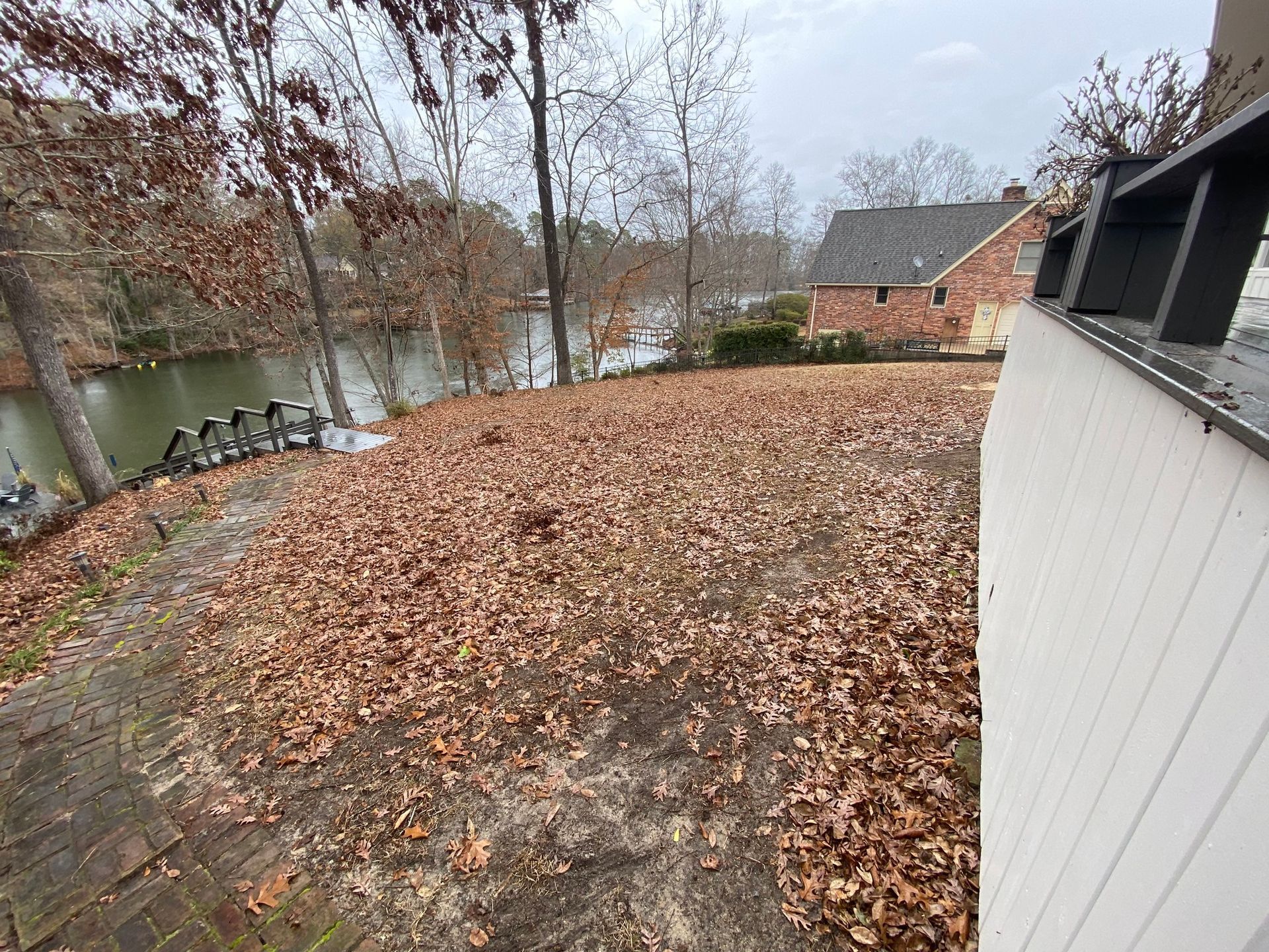 Brown leaves cover a yard next to a lake, with trees and a house in the background.