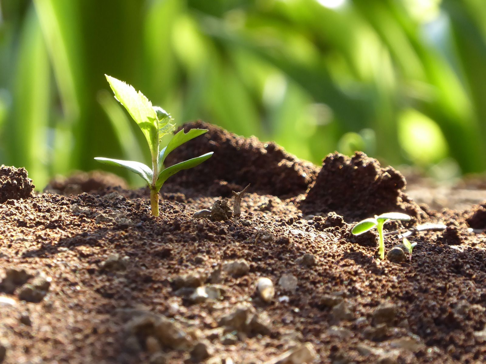A man wearing a hard hat and goggles is standing in a room.