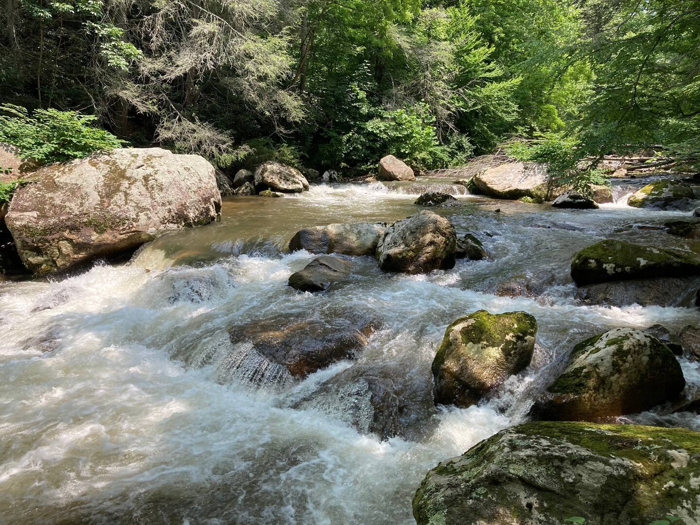 Beautiful serene waterfall in on epic mountain home by TN Livin'