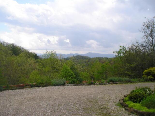 A gravel driveway with trees and mountains in the background.