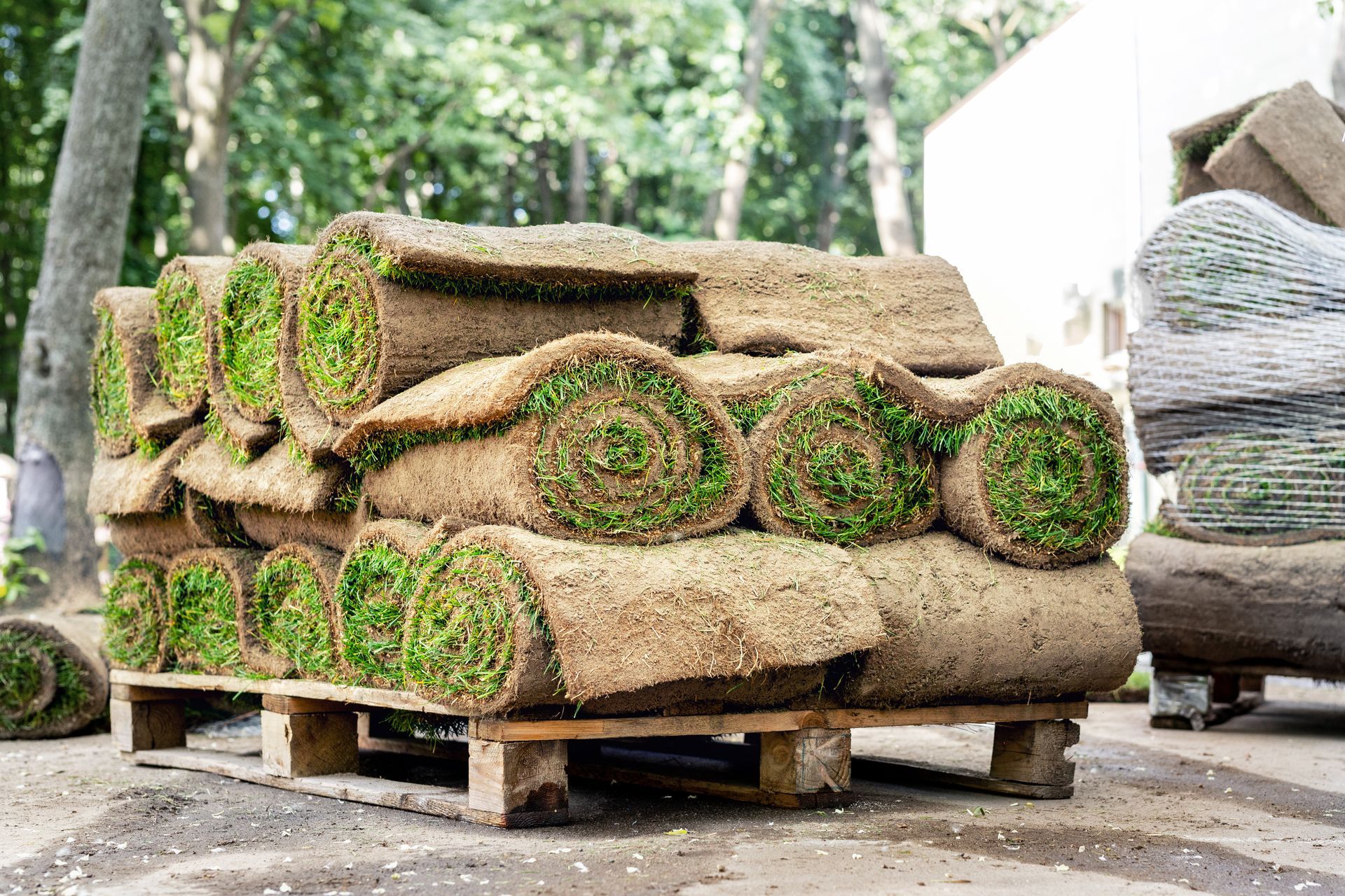 A pile of rolls of turf on a wooden pallet.