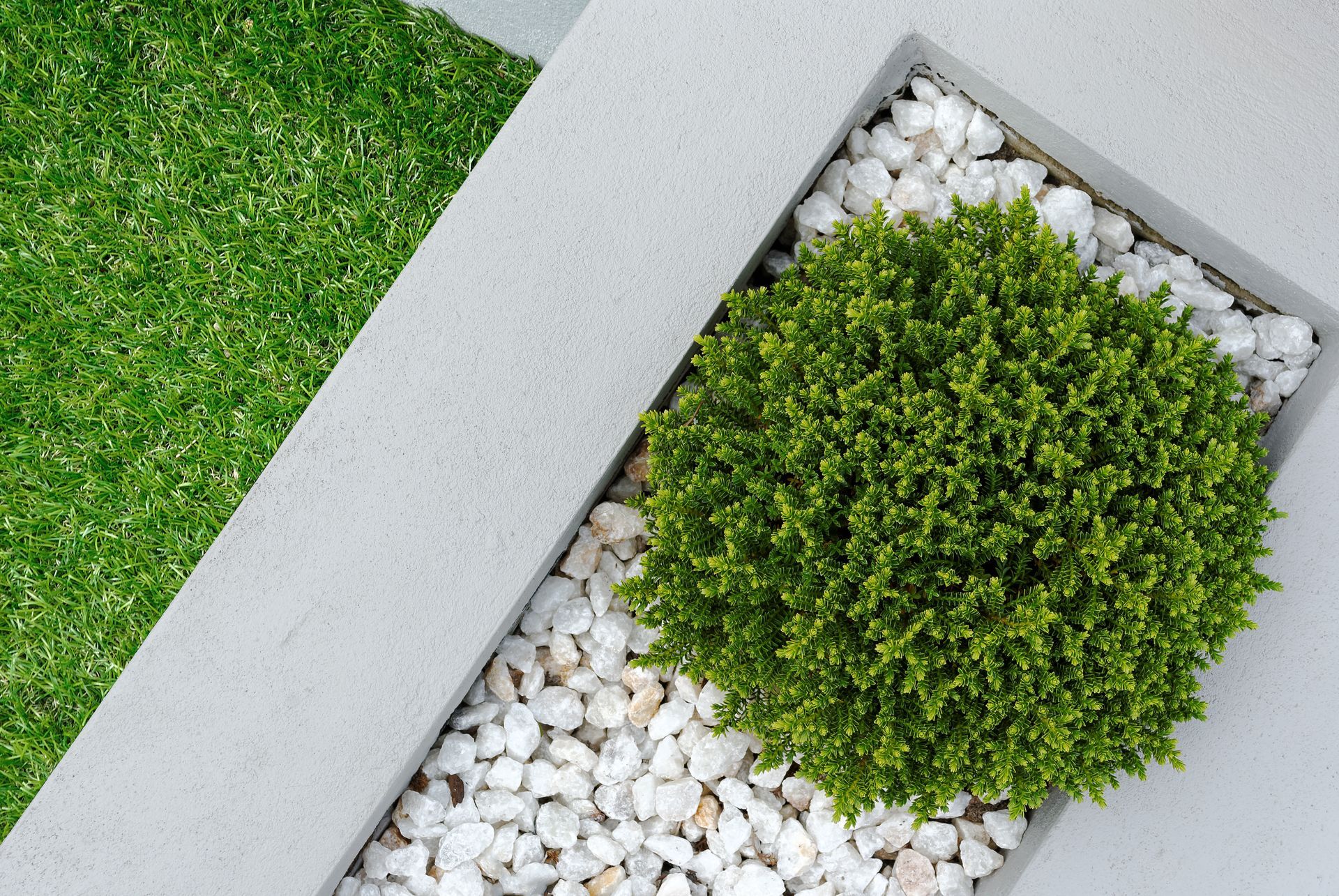 A small plant is growing in a planter filled with white gravel.
