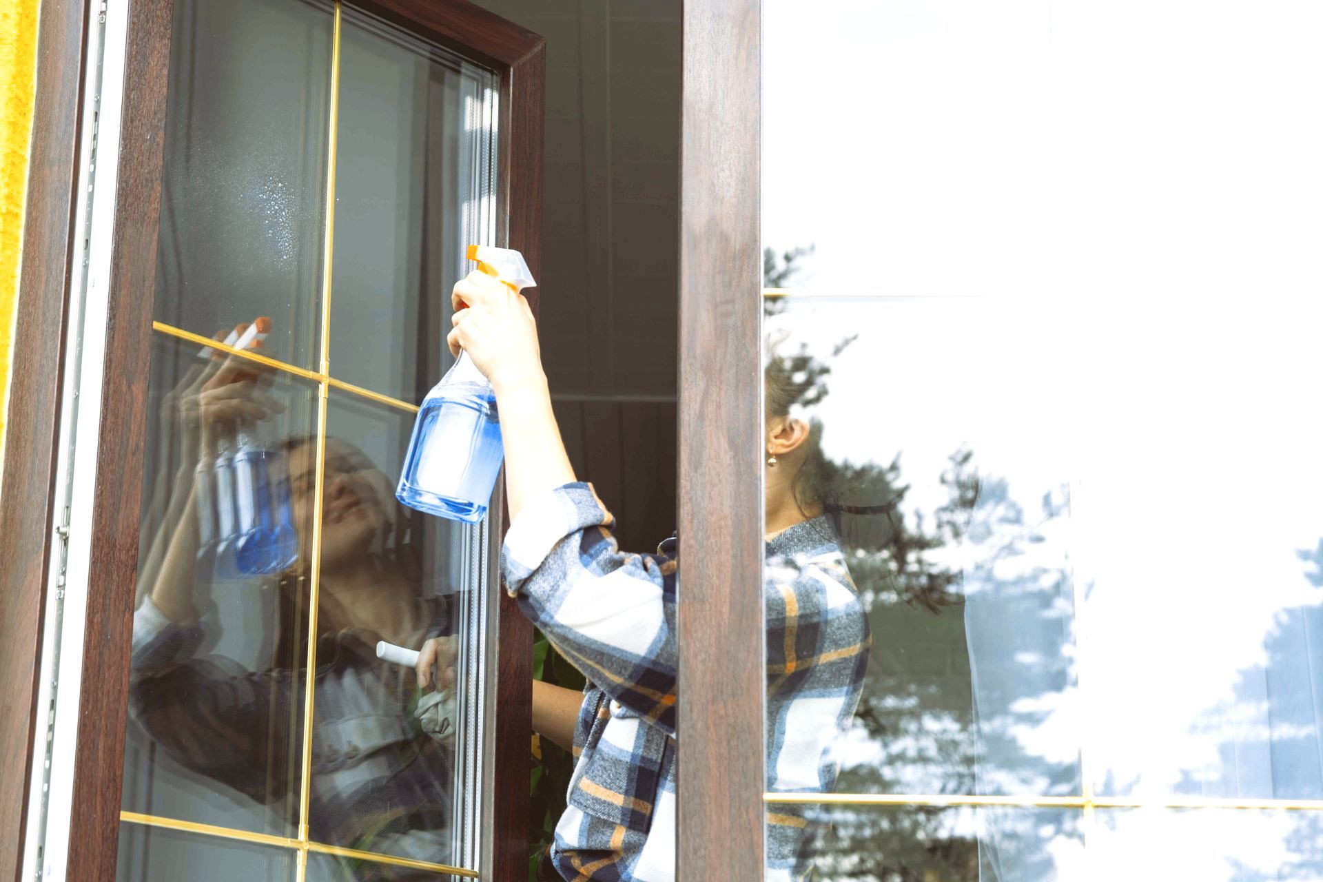 Window Washing Services