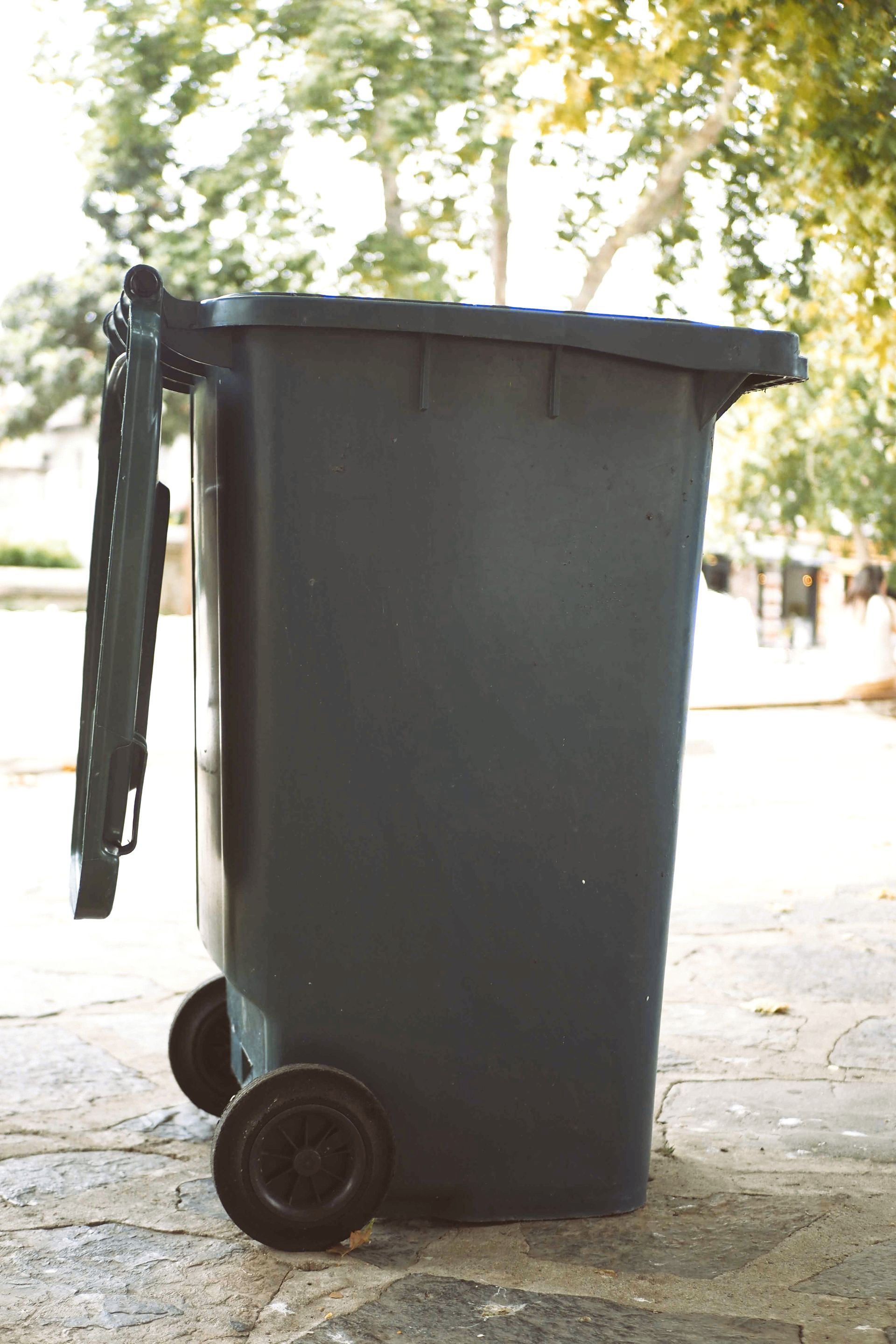 Garbage can cleaning services