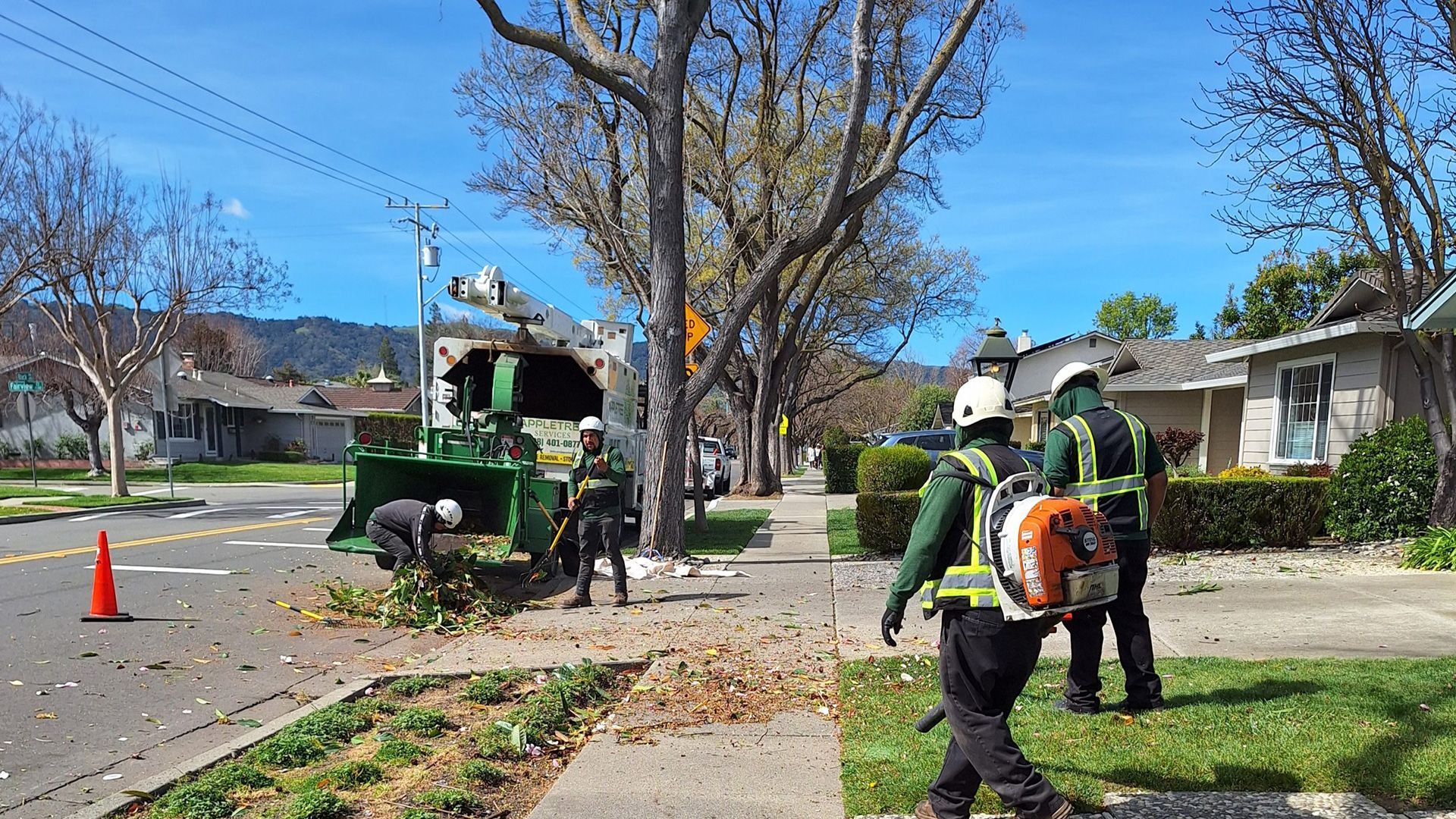 A group of people are cutting trees on the side of the road.